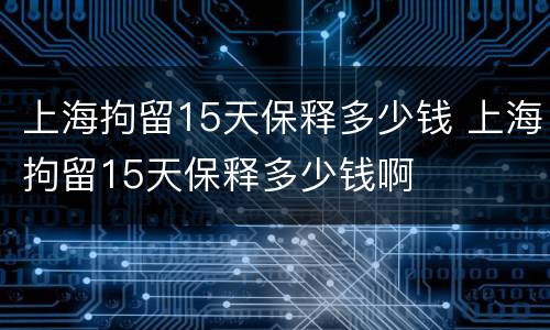 上海拘留15天保释多少钱 上海拘留15天保释多少钱啊