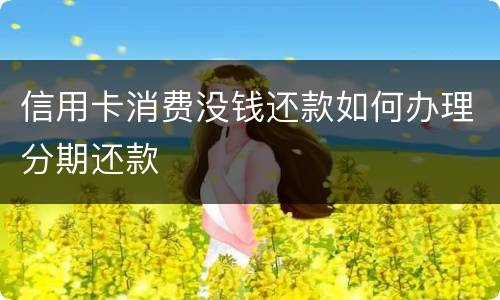 信用卡消费没钱还款如何办理分期还款