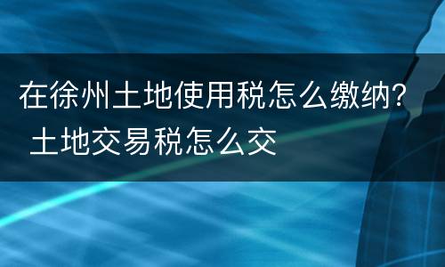 在徐州土地使用税怎么缴纳？ 土地交易税怎么交