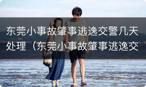东莞小事故肇事逃逸交警几天处理（东莞小事故肇事逃逸交警几天处理结束）
