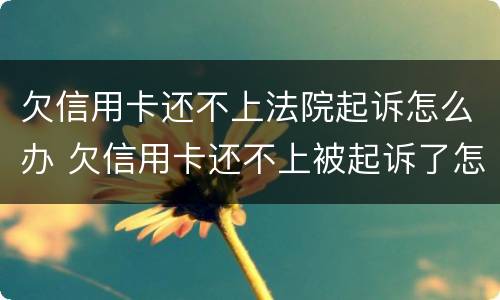 欠信用卡还不上法院起诉怎么办 欠信用卡还不上被起诉了怎么办