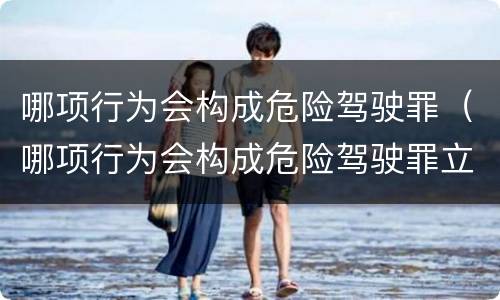 哪项行为会构成危险驾驶罪（哪项行为会构成危险驾驶罪立案标准）