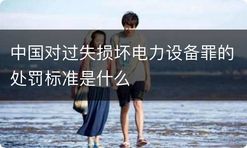 中国对过失损坏电力设备罪的处罚标准是什么