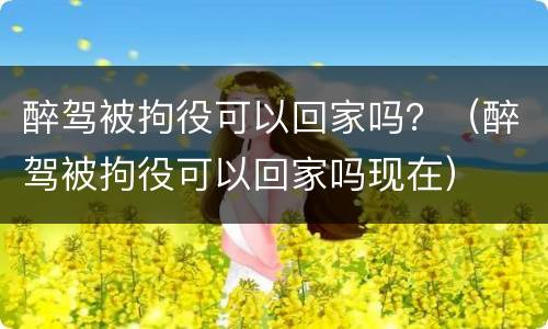 醉驾被拘役可以回家吗？（醉驾被拘役可以回家吗现在）