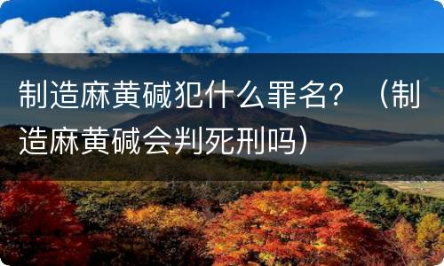制造麻黄碱犯什么罪名？（制造麻黄碱会判死刑吗）