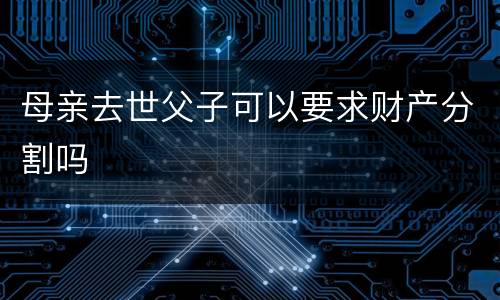 母亲去世父子可以要求财产分割吗