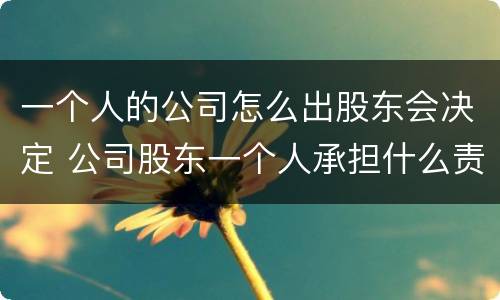 一个人的公司怎么出股东会决定 公司股东一个人承担什么责任