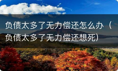 负债太多了无力偿还怎么办（负债太多了无力偿还想死）
