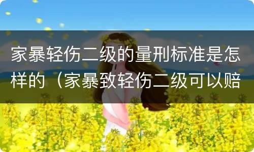 家暴轻伤二级的量刑标准是怎样的（家暴致轻伤二级可以赔偿多少钱?）