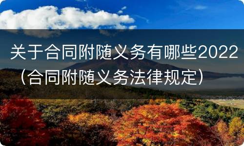 关于合同附随义务有哪些2022（合同附随义务法律规定）