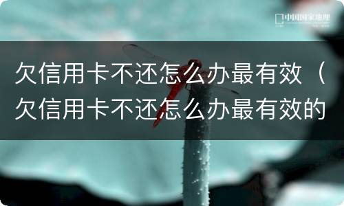 欠信用卡不还怎么办最有效（欠信用卡不还怎么办最有效的方法）