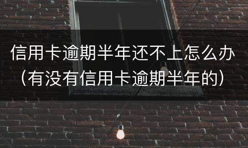 信用卡逾期半年还不上怎么办（有没有信用卡逾期半年的）