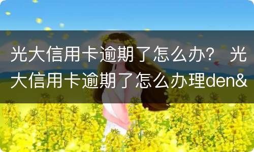 光大信用卡逾期了怎么办？ 光大信用卡逾期了怎么办理den'si