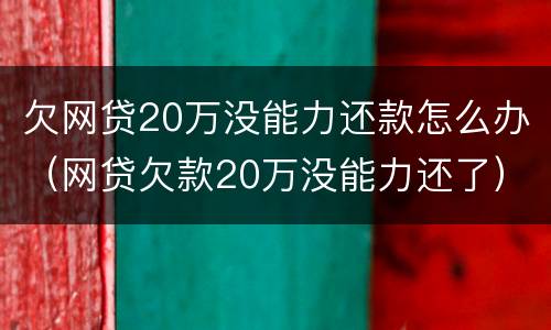 欠网贷20万没能力还款怎么办（网贷欠款20万没能力还了）