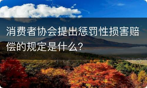 消费者协会提出惩罚性损害赔偿的规定是什么？