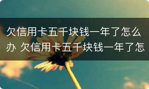 欠信用卡五千块钱一年了怎么办 欠信用卡五千块钱一年了怎么办理