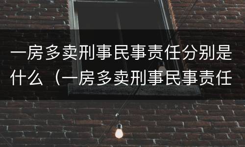 一房多卖刑事民事责任分别是什么（一房多卖刑事民事责任分别是什么罪）
