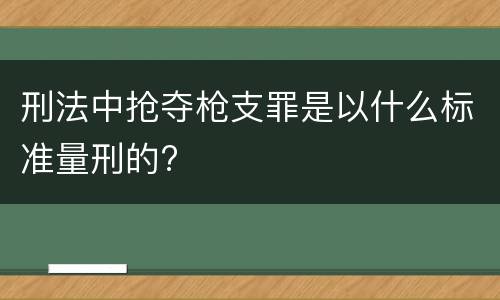 刑法中抢夺枪支罪是以什么标准量刑的?