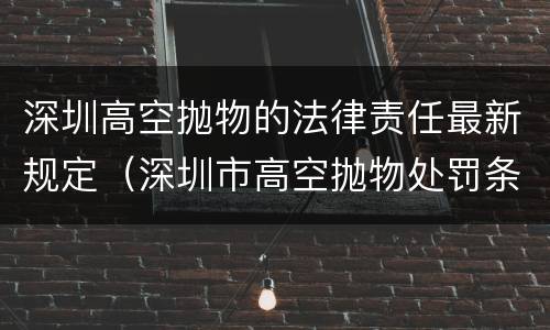深圳高空抛物的法律责任最新规定（深圳市高空抛物处罚条例）