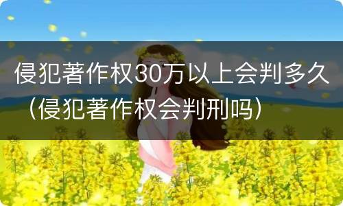 侵犯著作权30万以上会判多久（侵犯著作权会判刑吗）