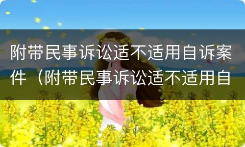 附带民事诉讼适不适用自诉案件（附带民事诉讼适不适用自诉案件调解）
