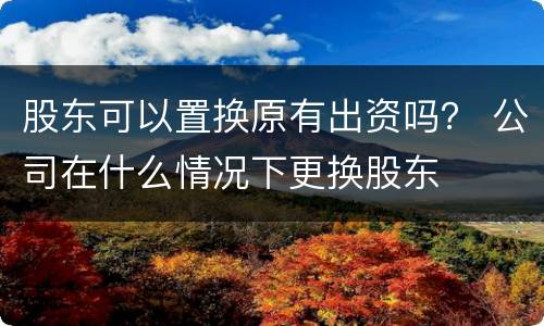 股东可以置换原有出资吗？ 公司在什么情况下更换股东