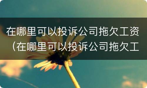 在哪里可以投诉公司拖欠工资（在哪里可以投诉公司拖欠工资的人）