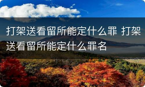 打架送看留所能定什么罪 打架送看留所能定什么罪名