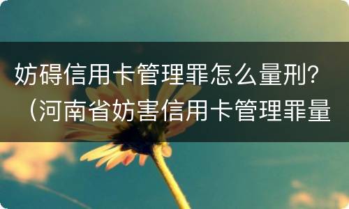 妨碍信用卡管理罪怎么量刑？（河南省妨害信用卡管理罪量刑标准）