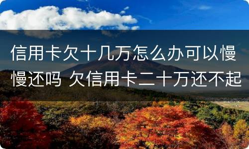 信用卡欠十几万怎么办可以慢慢还吗 欠信用卡二十万还不起,可以慢慢还吗