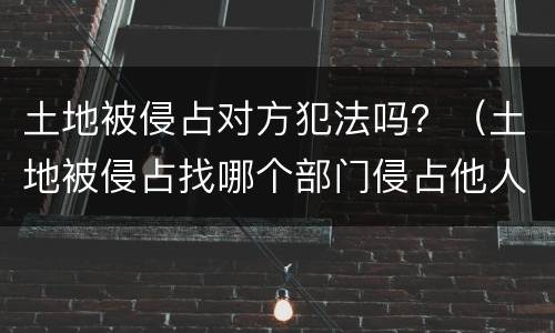 土地被侵占对方犯法吗？（土地被侵占找哪个部门侵占他人土地会犯什么法）