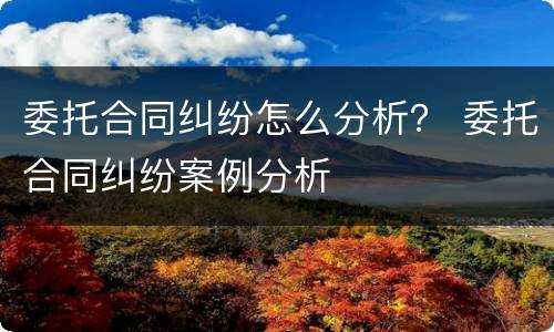委托合同纠纷怎么分析？ 委托合同纠纷案例分析