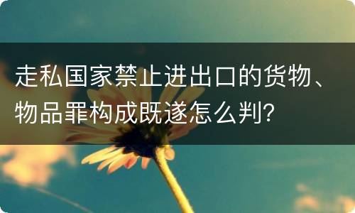 走私国家禁止进出口的货物、物品罪构成既遂怎么判？