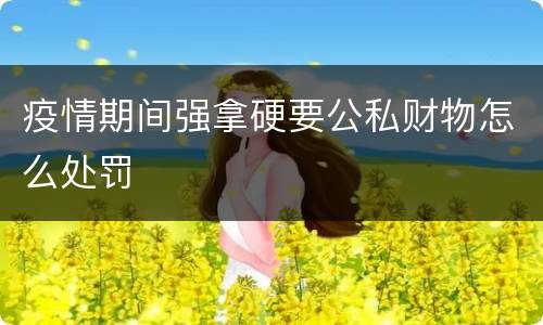 疫情期间强拿硬要公私财物怎么处罚