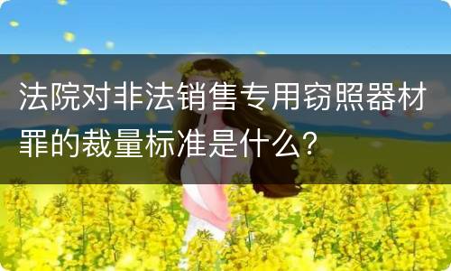 法院对非法销售专用窃照器材罪的裁量标准是什么？