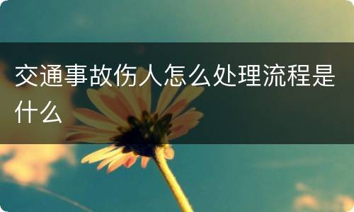 交通事故伤人怎么处理流程是什么