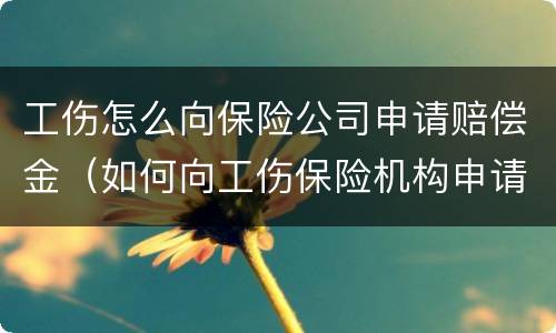 工伤怎么向保险公司申请赔偿金（如何向工伤保险机构申请赔偿）