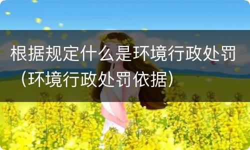 根据规定什么是环境行政处罚（环境行政处罚依据）