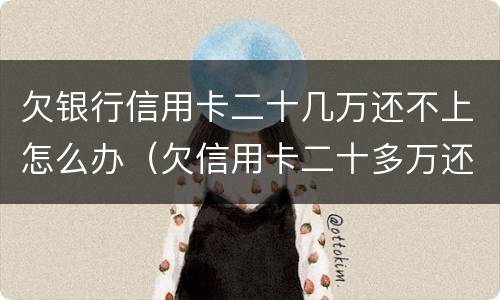 欠银行信用卡二十几万还不上怎么办（欠信用卡二十多万还不上怎么办）