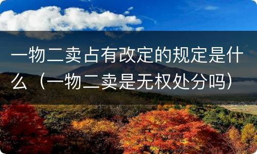 一物二卖占有改定的规定是什么（一物二卖是无权处分吗）