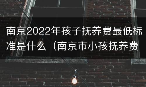 南京2022年孩子抚养费最低标准是什么（南京市小孩抚养费标准）