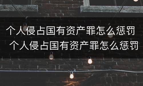 个人侵占国有资产罪怎么惩罚 个人侵占国有资产罪怎么惩罚他人