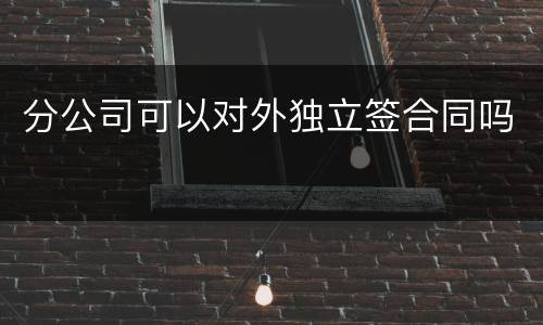 分公司可以对外独立签合同吗
