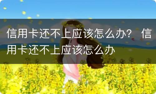 信用卡还不上应该怎么办？ 信用卡还不上应该怎么办