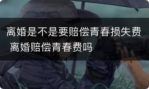 离婚是不是要赔偿青春损失费 离婚赔偿青春费吗