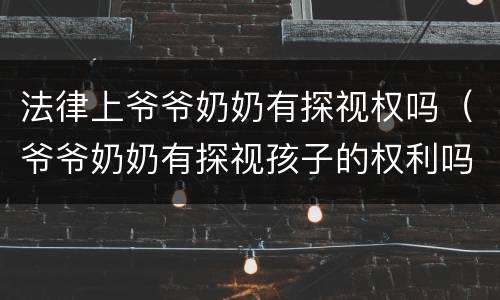 法律上爷爷奶奶有探视权吗（爷爷奶奶有探视孩子的权利吗）