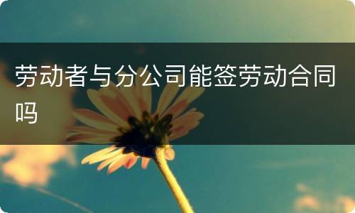 劳动者与分公司能签劳动合同吗