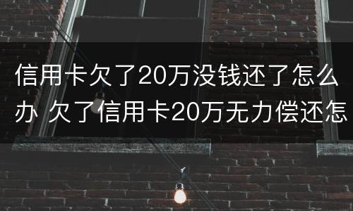 信用卡欠了20万没钱还了怎么办 欠了信用卡20万无力偿还怎么办