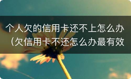 个人欠的信用卡还不上怎么办（欠信用卡不还怎么办最有效的方法）