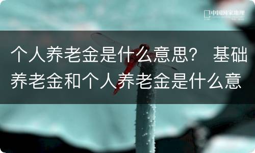 个人养老金是什么意思？ 基础养老金和个人养老金是什么意思